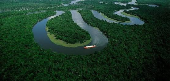  Gobiernos de Alemania y Noruega proveen donativos para conservación de bosques amazónicos.