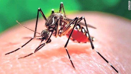  Yurimaguas en alerta por la presencia de dos casos de zika.