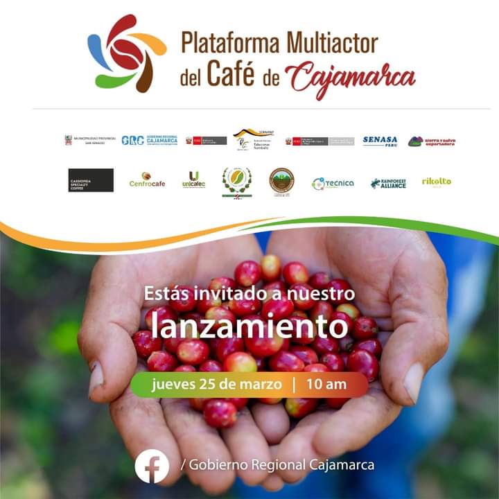  Rainforest Alliance fortalecerá la producción de café sostenible a través de la Plataforma Multiactor del Café de Cajamarca
