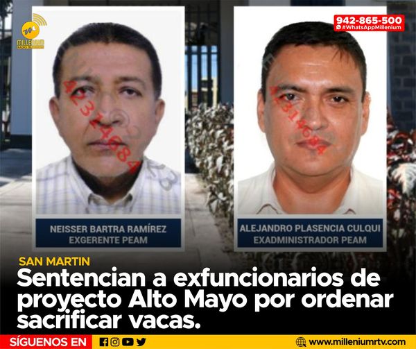  San Martín | Sentencias a exfuncionarios de proyecto alto mayo por ordenar sacrificar vacas.